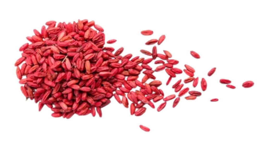 Dried Red Barberries